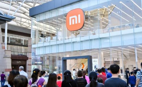 雷军放话小米对标苹果 为何社会支持难以比肩华为？