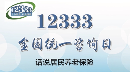 12333全国统一咨询日 详解淄博市居民养老保险，社会经济咨询服务在身边